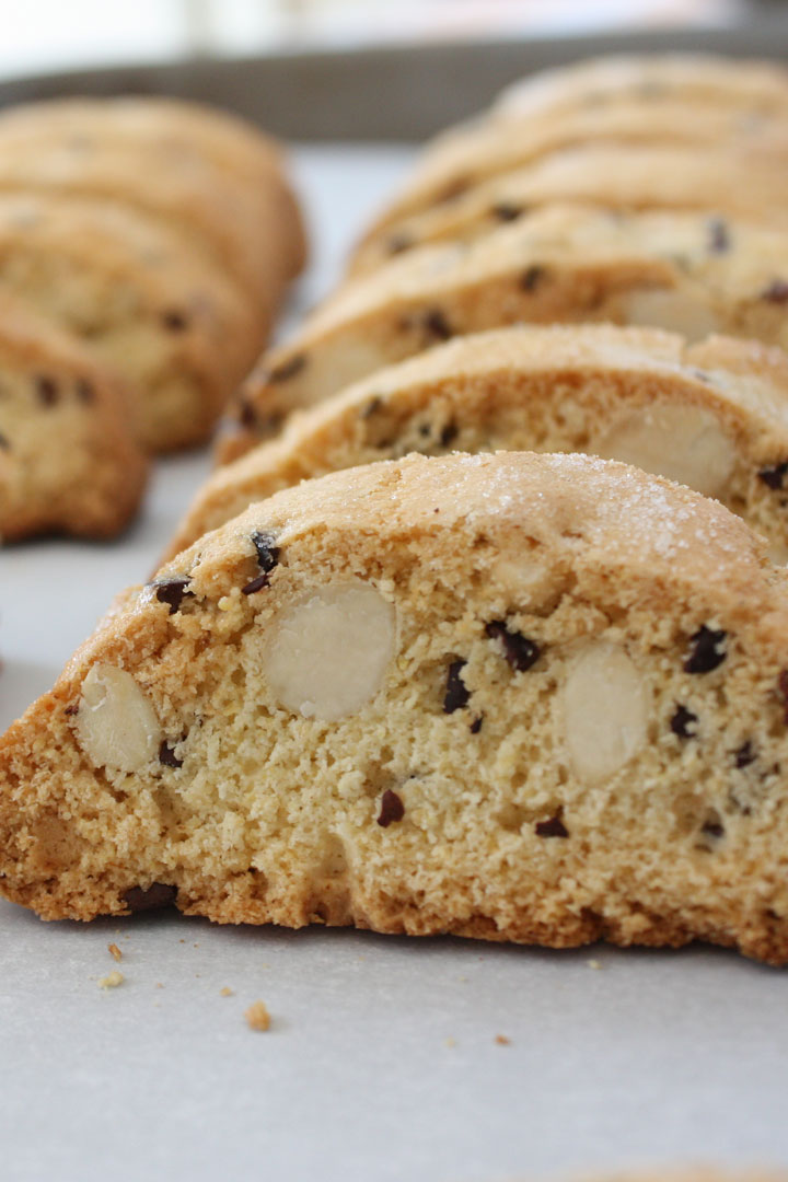 Almond biscotti with cocoa nibs lined up on sheet pan.