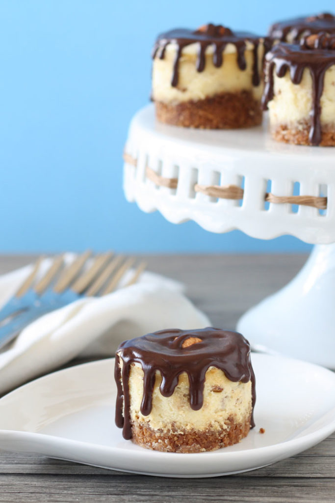 Mini almond joy cheesecake in a plate with cheesecakes on cake platter.