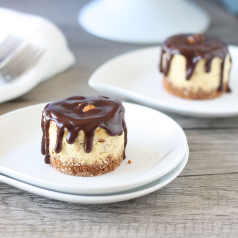 Mini almond joy cheesecakes on indivudal plates.