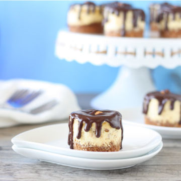 Mini almond joy cheesecake in a plate with cheesecakes on cake platter.