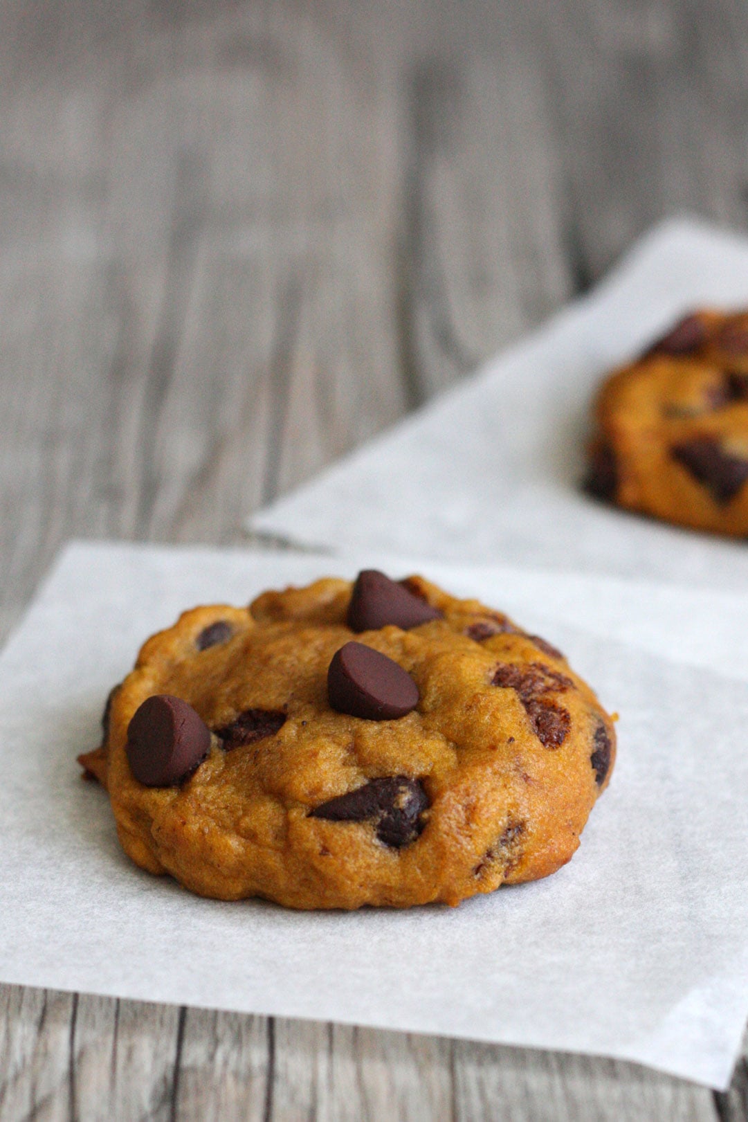Close up of baked pumpkin chocolate chip cookie with slightly browned top.