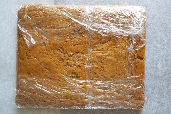 Finished gingersnap cookie dough wrapped in plastic.