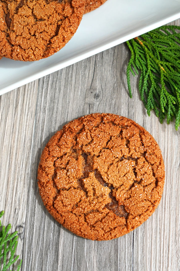 Overhead view of gingersnap cookie on wood background with evergreen leaves around it. 