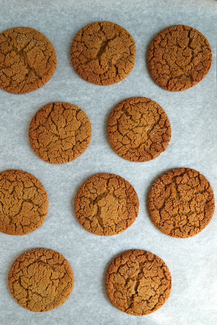 Top view of baked gingersnap cookies on cookie sheet.