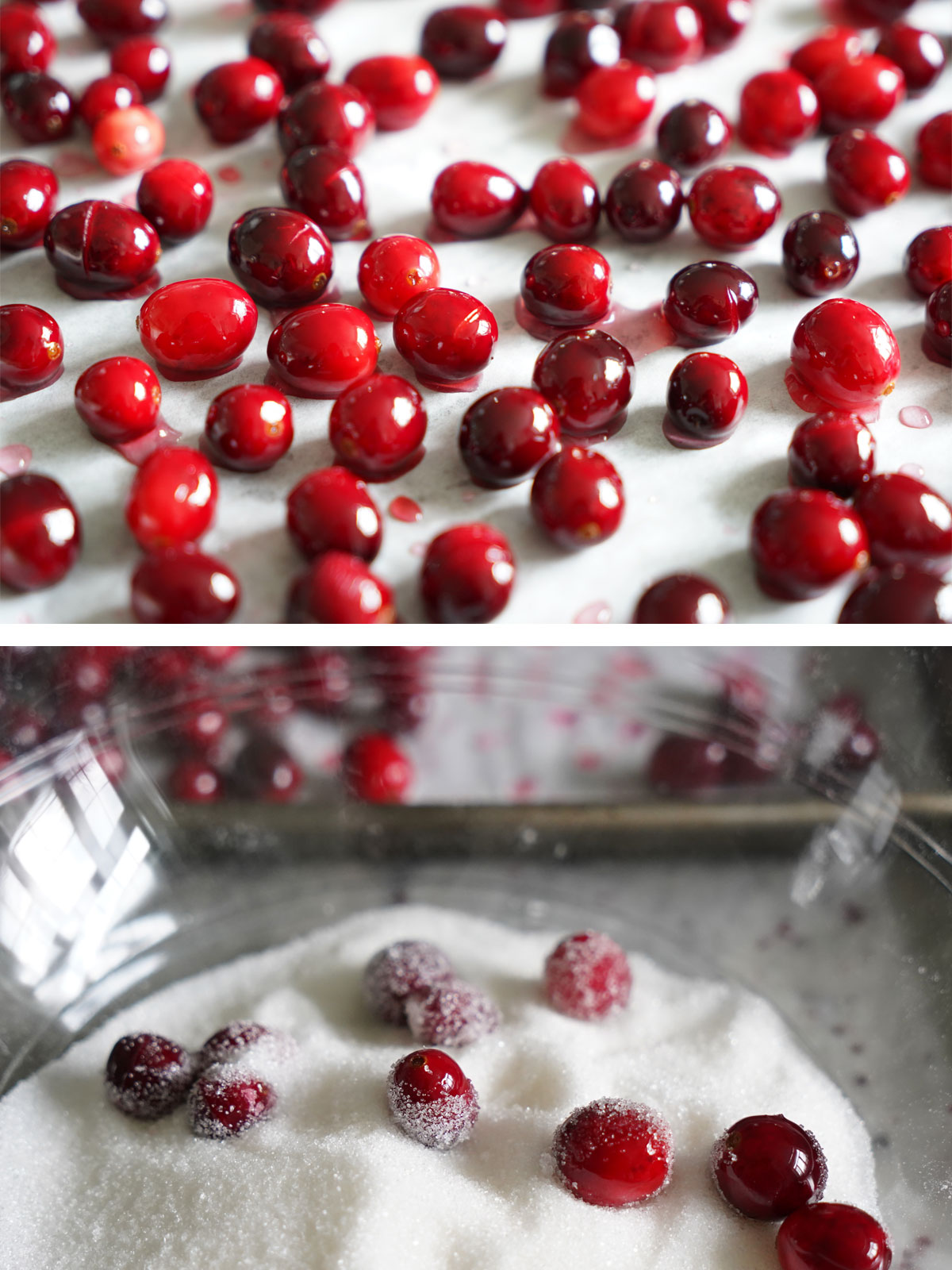 Cranberries coated in sugar syrup. Cranberries being dredged in sugar.