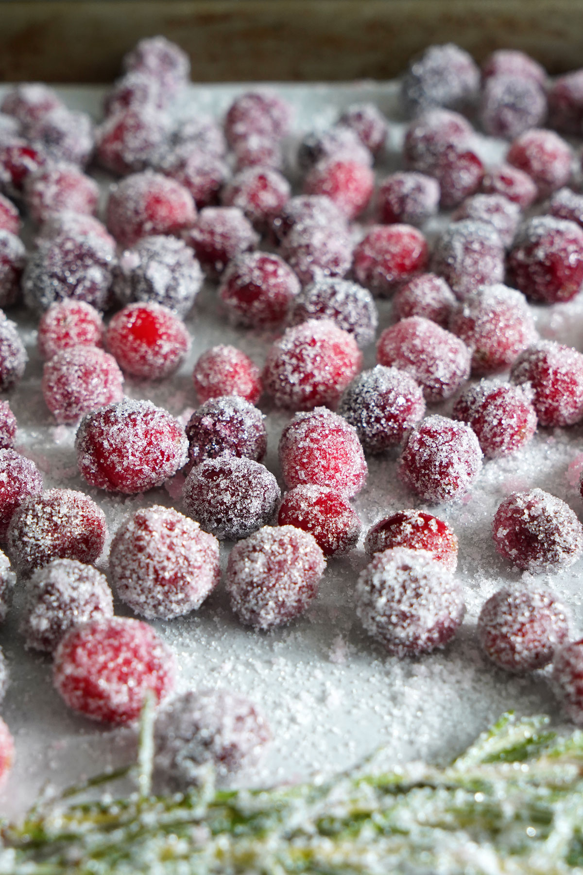 Sugared cranberries closeup.