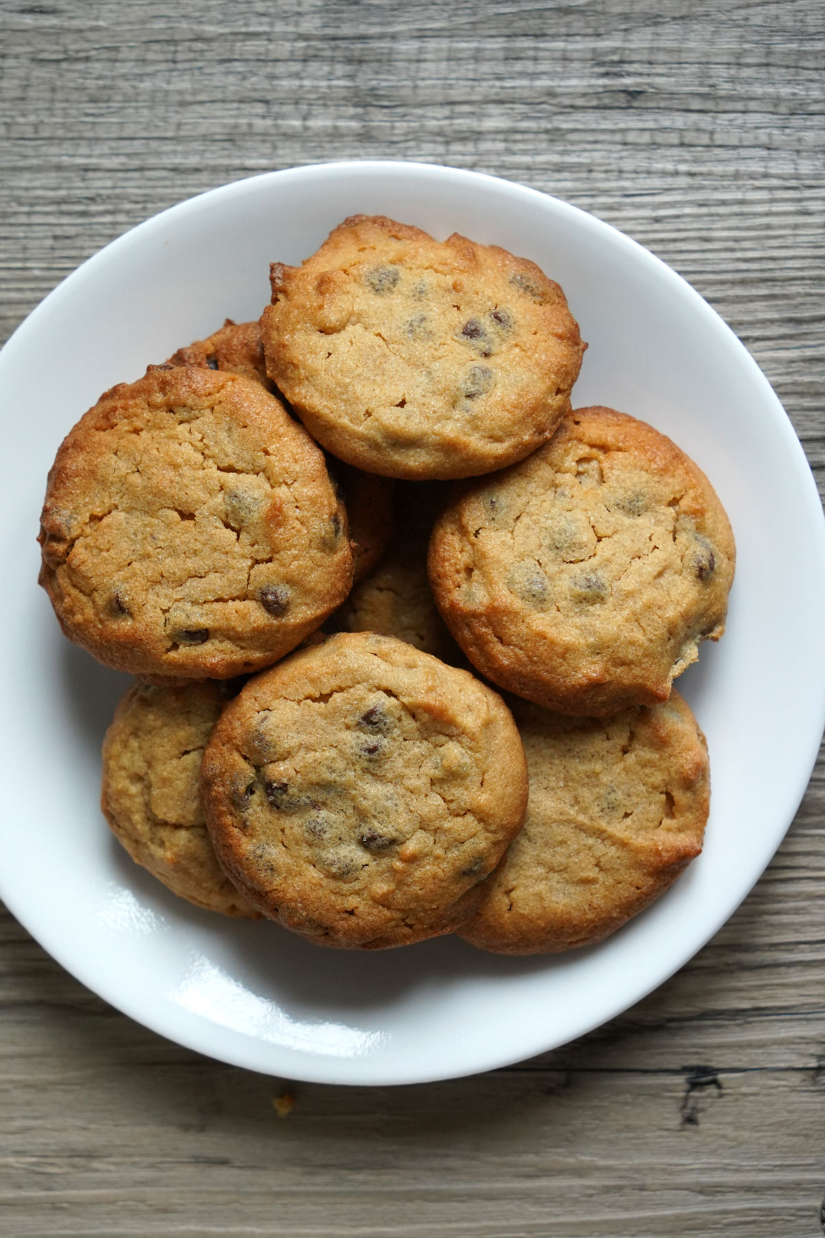 Peanut butter cookies baked with choclate chips on a white plate.