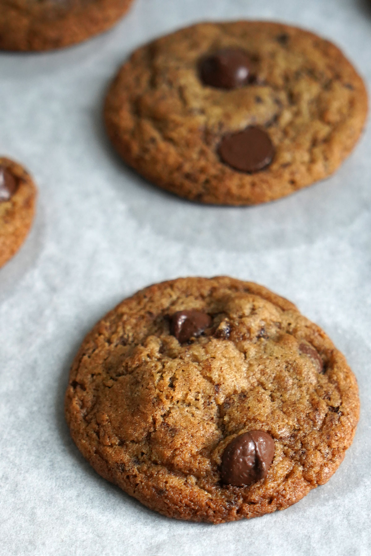 Baked espresso chocolate chip cookie close up.