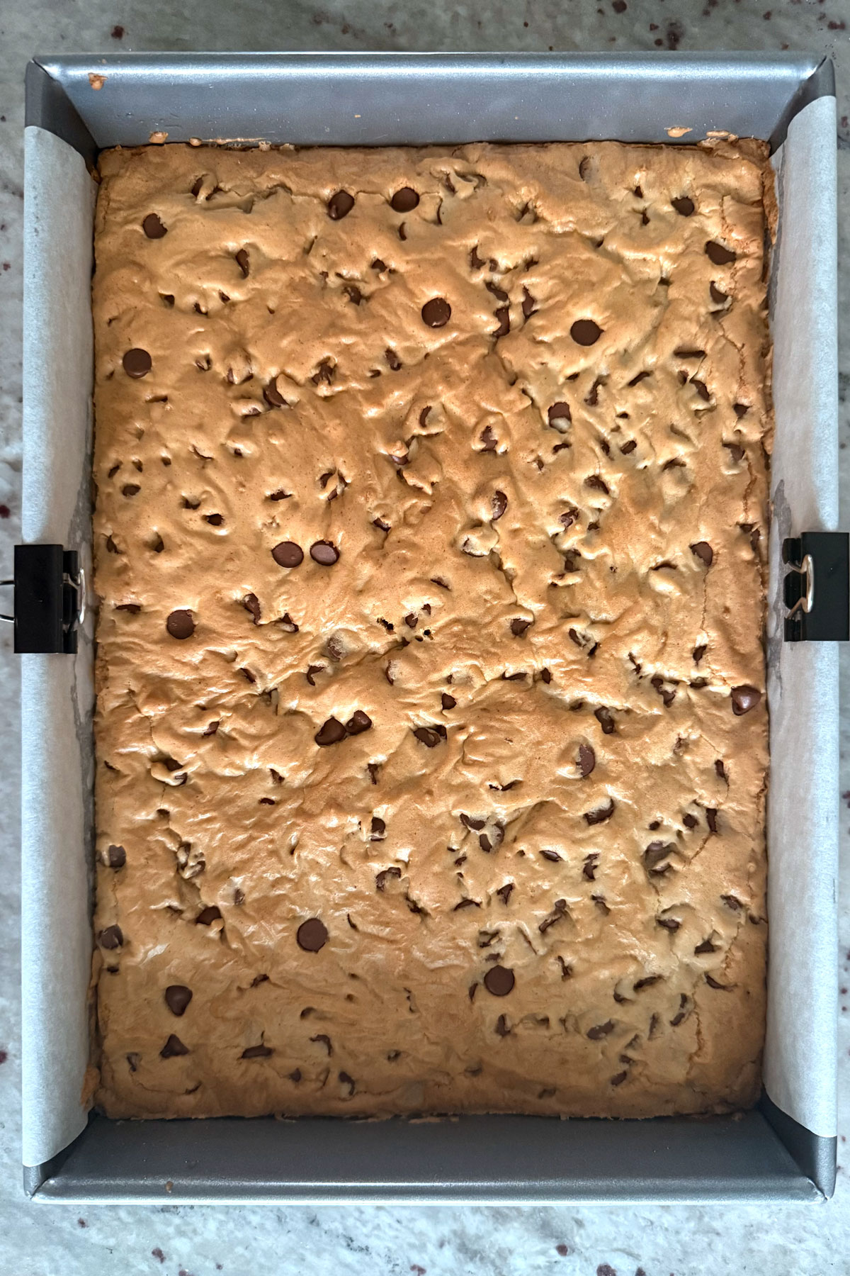 Baked bars before cutting, cooling in pan.