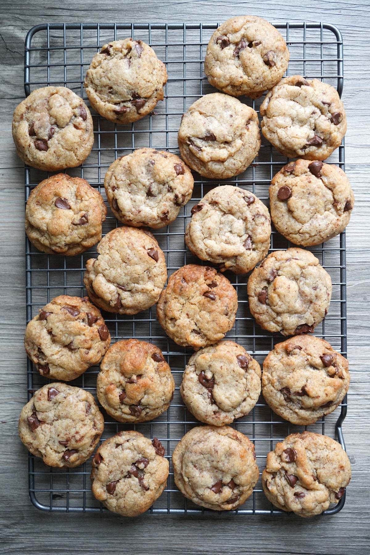 Eggless chocolate chip cookies cooling.
