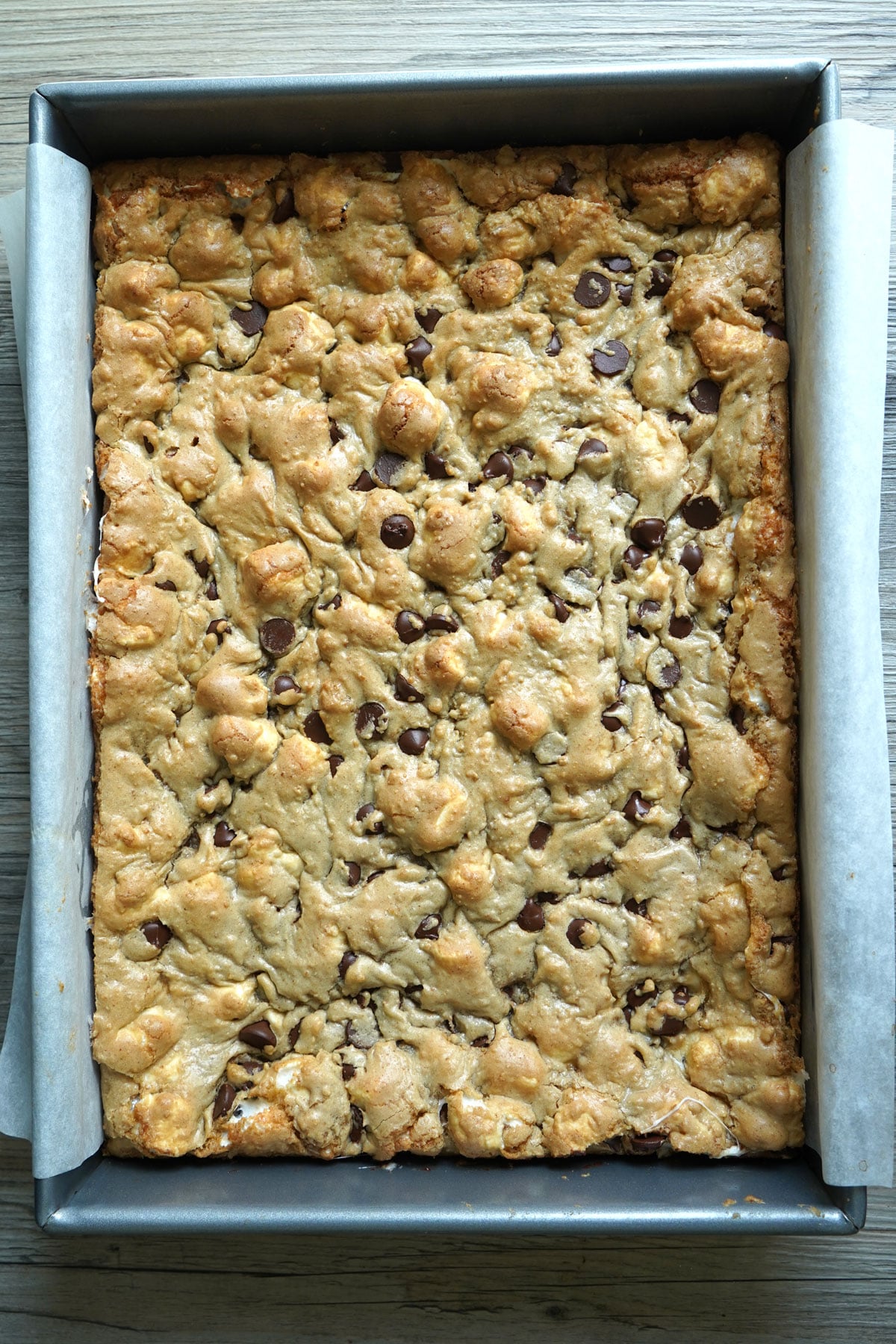 Baked cookie bars cooling in pan.